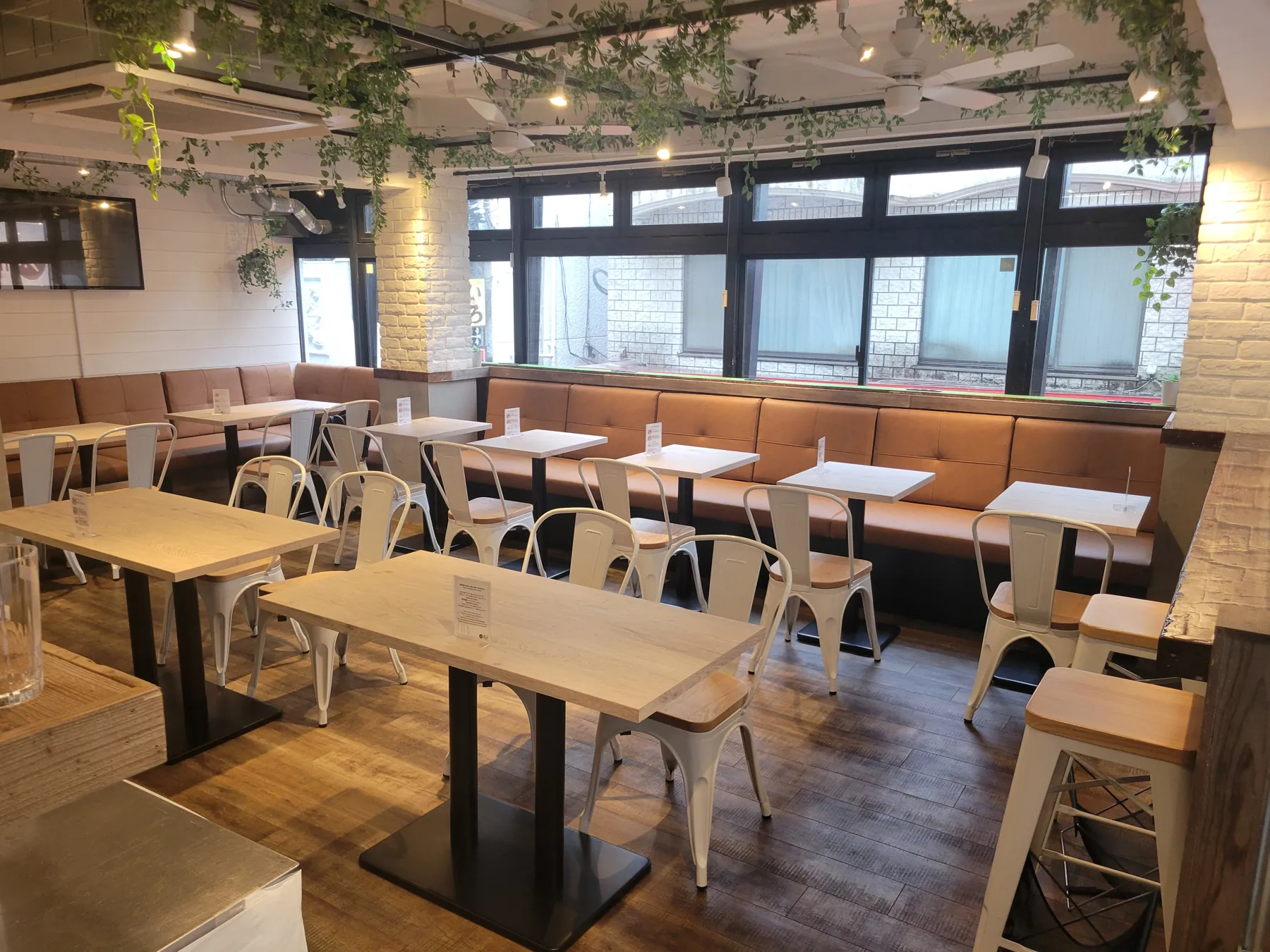 ツタが天井を飾る、明るい店内